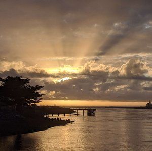 Meet your Posher, Candishawn